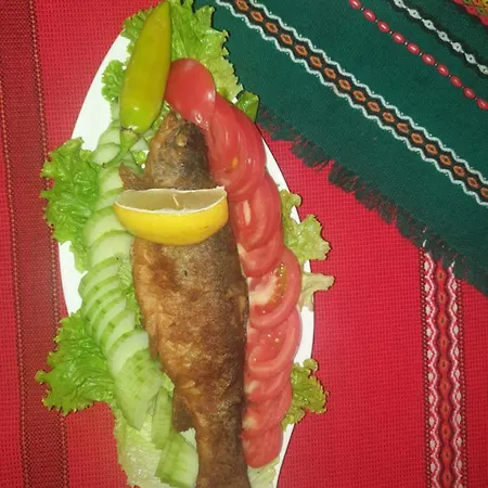 динас بيت ضيافة Zmeitsa